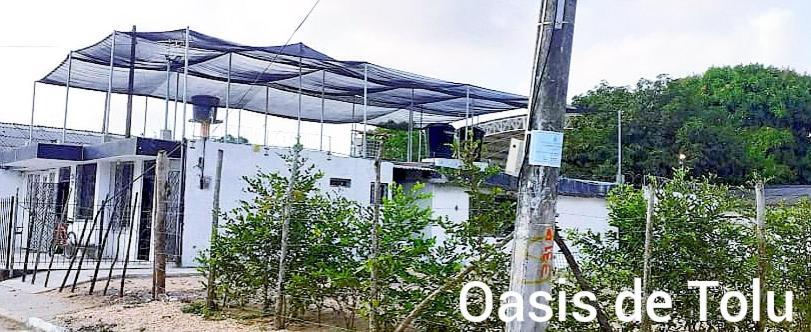 Oasis De Tolu Hotell Exteriör bild